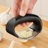 Stainless Steel Garlic Press