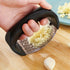 Stainless Steel Garlic Press