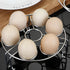 Stainless Steel Egg Cooker Trivet