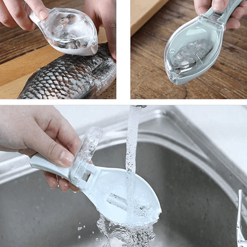 Ecailleur de poisson avec réservoir - UstensilesCulinaires