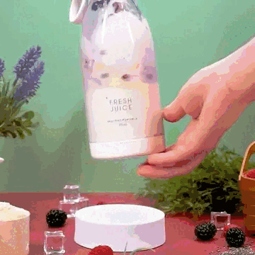 Mixeur Portable pour Milkshakes et Smoothies - UstensilesCulinaires